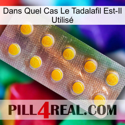 Dans Quel Cas Le Tadalafil Est-Il Utilisé new11